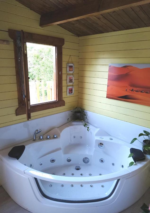 Piscine Jacuzzi Balneo "La Palmeraie Oasis" Ferolles Extérieur photo